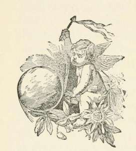 water-babies-illustrated-by-edward-linley-sambourne-28